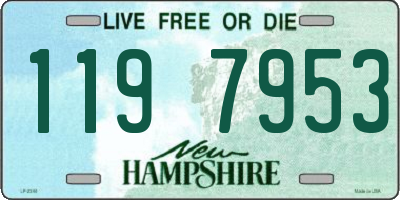 NH license plate 1197953