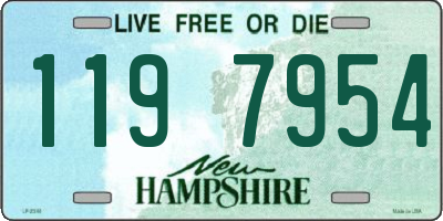 NH license plate 1197954