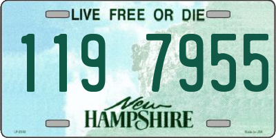NH license plate 1197955