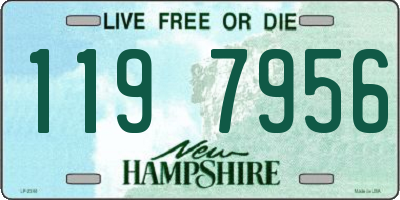 NH license plate 1197956