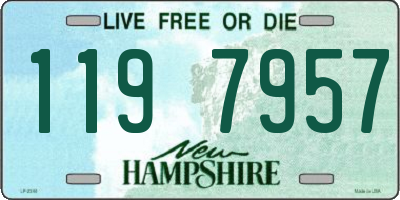 NH license plate 1197957