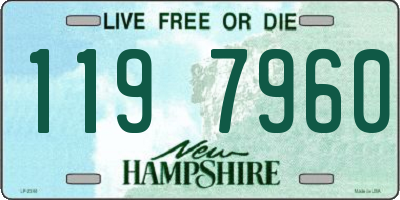 NH license plate 1197960