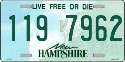 NH license plate 1197962