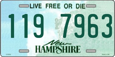 NH license plate 1197963
