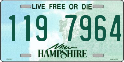 NH license plate 1197964