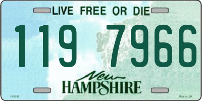NH license plate 1197966