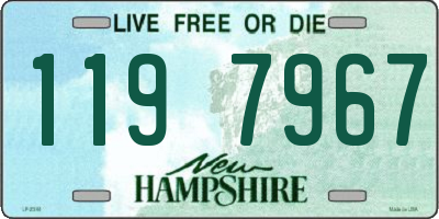 NH license plate 1197967