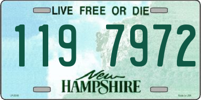 NH license plate 1197972