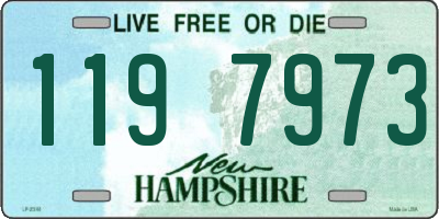 NH license plate 1197973