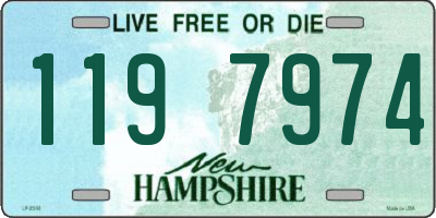 NH license plate 1197974