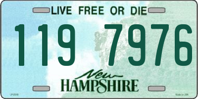 NH license plate 1197976