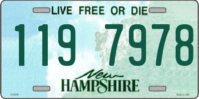NH license plate 1197978