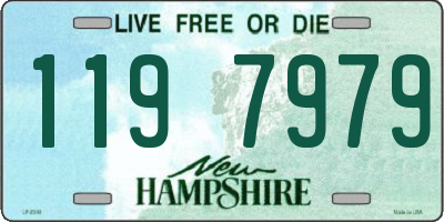 NH license plate 1197979