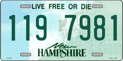 NH license plate 1197981