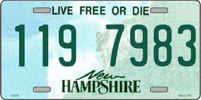 NH license plate 1197983