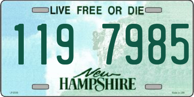 NH license plate 1197985