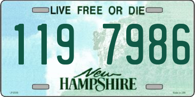 NH license plate 1197986