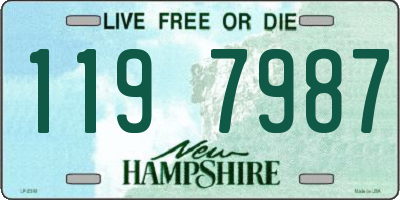 NH license plate 1197987