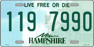 NH license plate 1197990