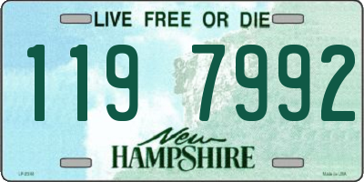 NH license plate 1197992