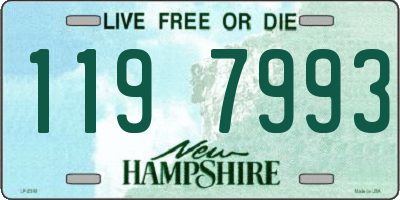NH license plate 1197993