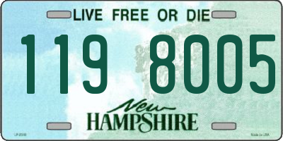 NH license plate 1198005