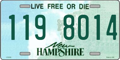 NH license plate 1198014