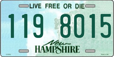 NH license plate 1198015