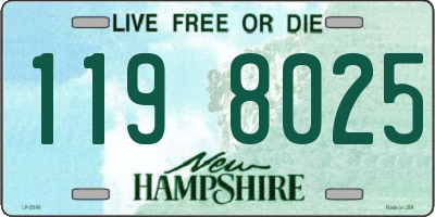 NH license plate 1198025