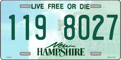 NH license plate 1198027