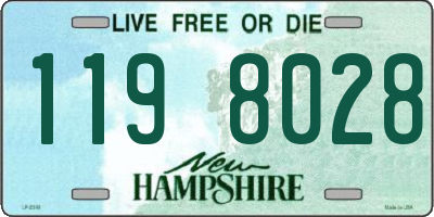NH license plate 1198028