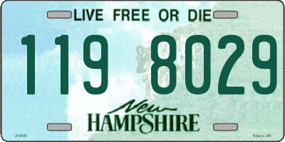 NH license plate 1198029