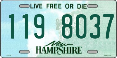 NH license plate 1198037