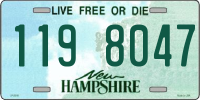 NH license plate 1198047