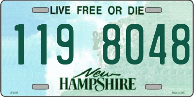 NH license plate 1198048
