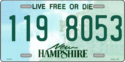 NH license plate 1198053