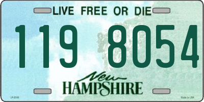 NH license plate 1198054