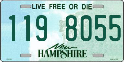 NH license plate 1198055