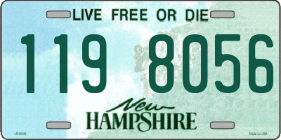 NH license plate 1198056