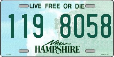 NH license plate 1198058