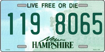 NH license plate 1198065