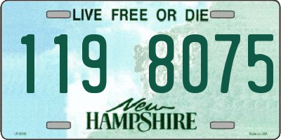 NH license plate 1198075