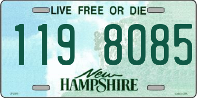 NH license plate 1198085