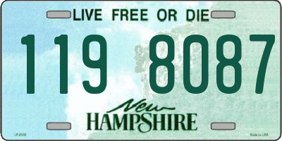 NH license plate 1198087