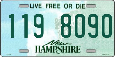 NH license plate 1198090