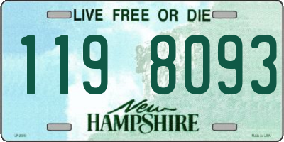 NH license plate 1198093