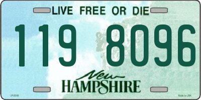 NH license plate 1198096