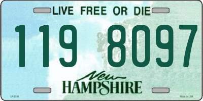 NH license plate 1198097