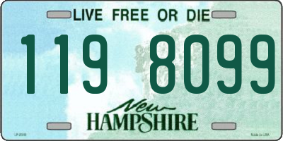 NH license plate 1198099