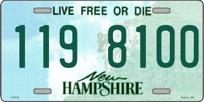 NH license plate 1198100